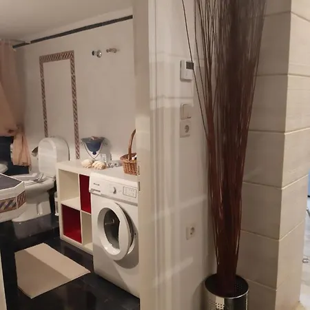 Elegante 트리칼라