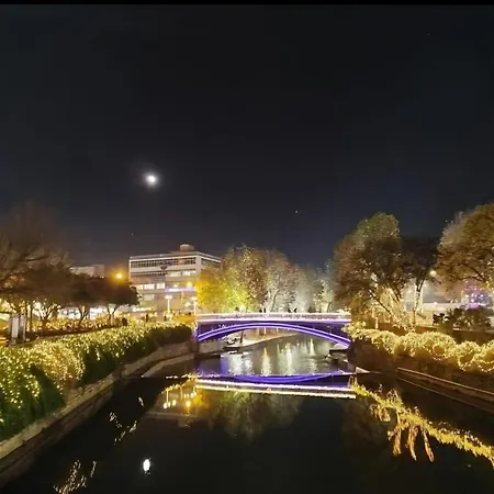 Elegante * 트리칼라